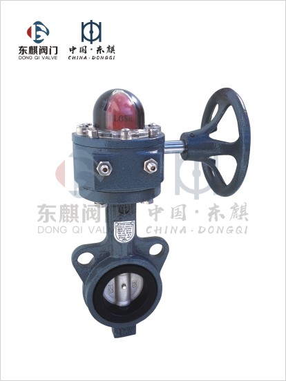 Cast Iron Wafer Type Butterfly Valve (1Mpa)